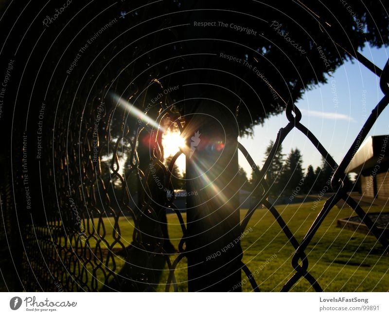 fence Licht Sommer Himmel Mitte sun sunlight shine trees glow sky playground rays sunshine blue Einkaufszentrum