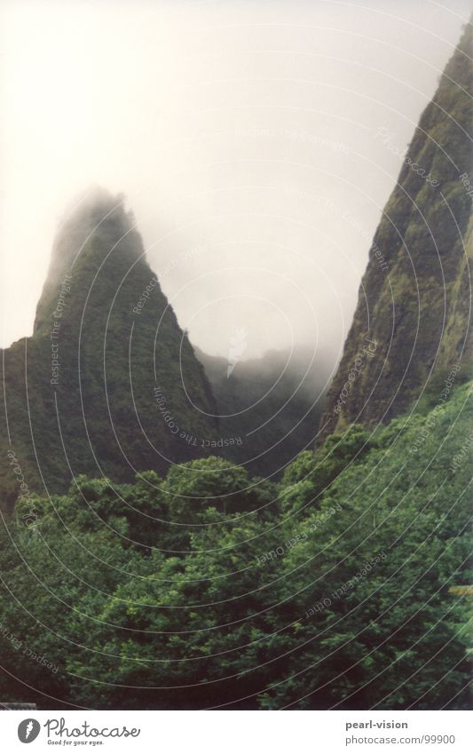 Bergschenkel Hawaii Maui Urwald Schwüle Öffnung Eingang Berge u. Gebirge Pforte.