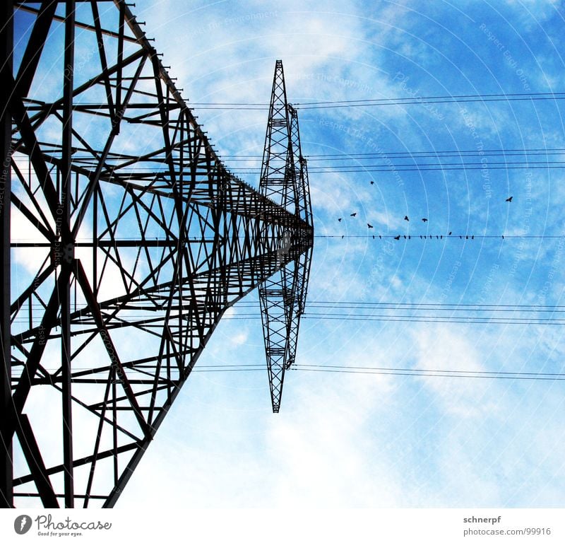 Zwischenstop Vogel Krähe Tier schwarz Wolken Elektrizität Strommast Versammlung Stahl netzartig Draht Drahtseil Symmetrie Konstruktion Windkraftanlage weiß