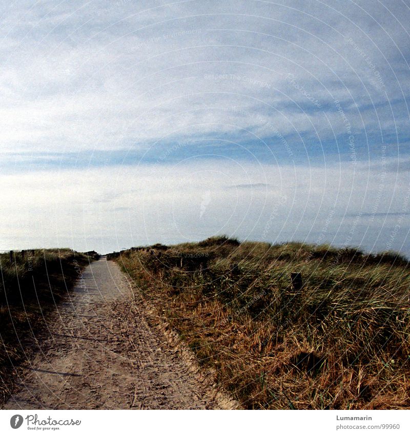 Mitte des Weges Küste Gras Wolken stehen lang Ferne Unendlichkeit Horizont stagnierend Pause ruhig schön erholsam Spaziergang gehen langsam kommen Ankunft