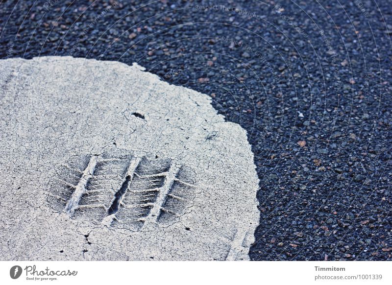 Forensics. Street Signs and labeling Line Esthetic Simple Gray White Curiosity Tracks Skid marks Colour Pattern Colour photo Exterior shot Deserted Day