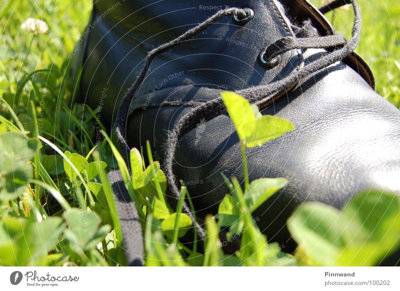 lovely Contentment Worm's-eye view String Blue sky Shorts Barefoot Freehand Pants Thin Gymnastics School sport Unable to fly Sweaty Muscle activity Intoxicant