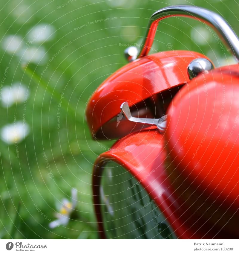 out in the grass Alarm clock Red Grass Meadow Green Blur Daisy Multicoloured Detail Exterior shot Section of image Partially visible Old fashioned Analog Wake