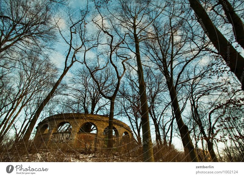 memorial Park community park Berlin lankwitz Tree Tree trunk Branch Twig Winter Sky Clouds Worm's-eye view Monument War monument Ruin Mountain Hill Memory