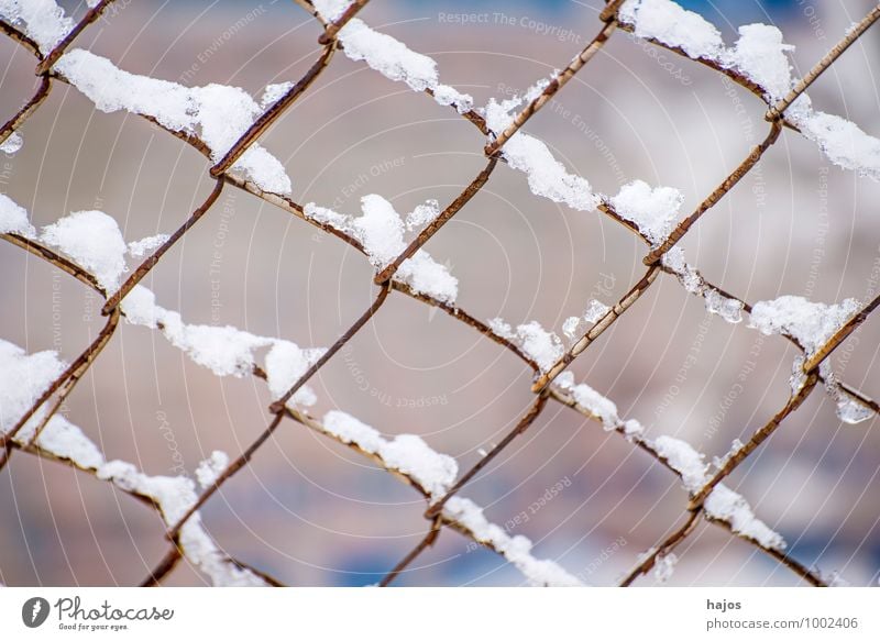 Snow on fence Calm Winter Weather White Idyll Alpina snowcap Fence Grating Stlileben Seasons Snowscape depth scurfs Few Colour photo Exterior shot