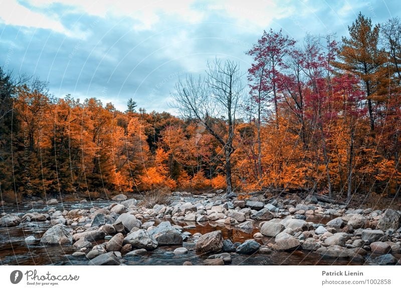 New Hampshire Life Harmonious Contentment Senses Relaxation Mountain Hiking Environment Nature Landscape Plant Elements Earth Sky Clouds Autumn Climate