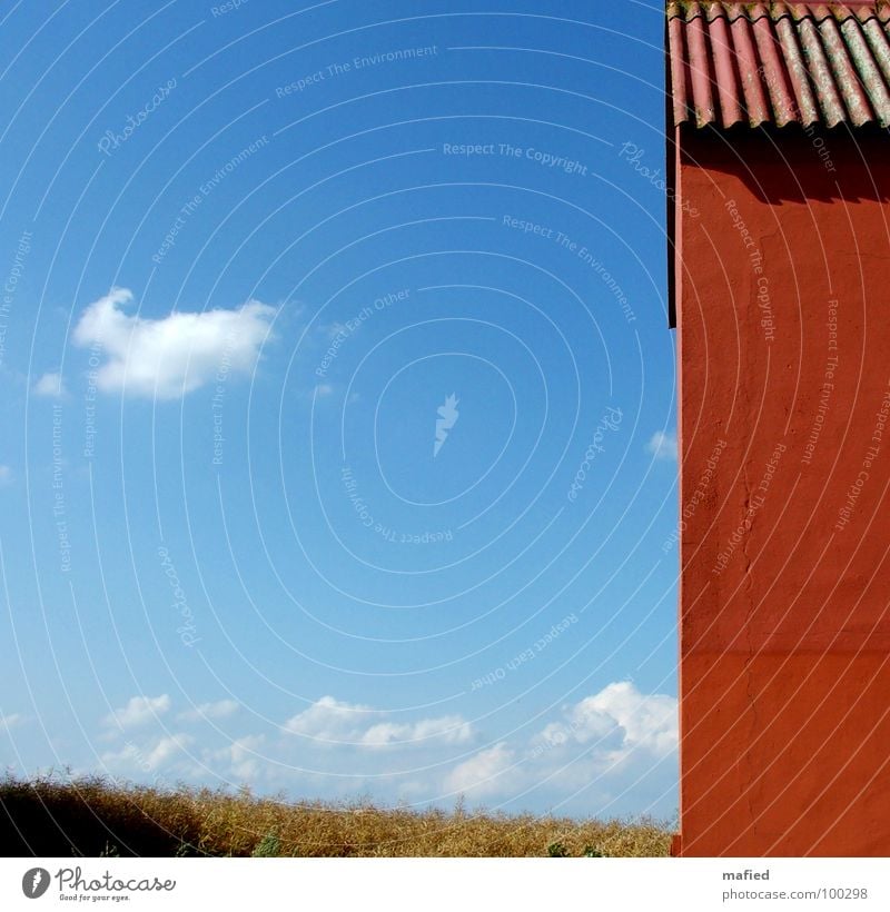 There's a red house over yonder 2 House (Residential Structure) Red Wall (building) Clouds Field Corrugated sheet iron Canola Plaster Crack & Rip & Tear Summer