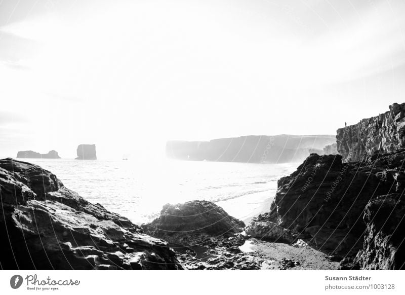 Dyrhólaey Nature Landscape Sun Rock Peak Glacier Waves Coast Bay Exceptional Threat Iceland Stony Black & white photo Exterior shot Abstract Deserted