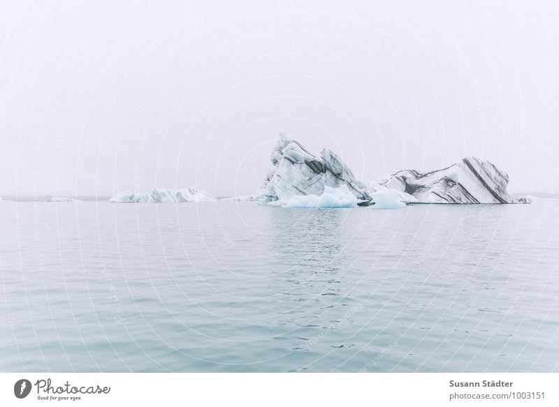 jeculsarlon Iceberg Swimming & Bathing freezing cold Frozen water seagulls Iceland Glacier ice Glacial melt glacial lake Vatnajökull glacier Jökulsárlon