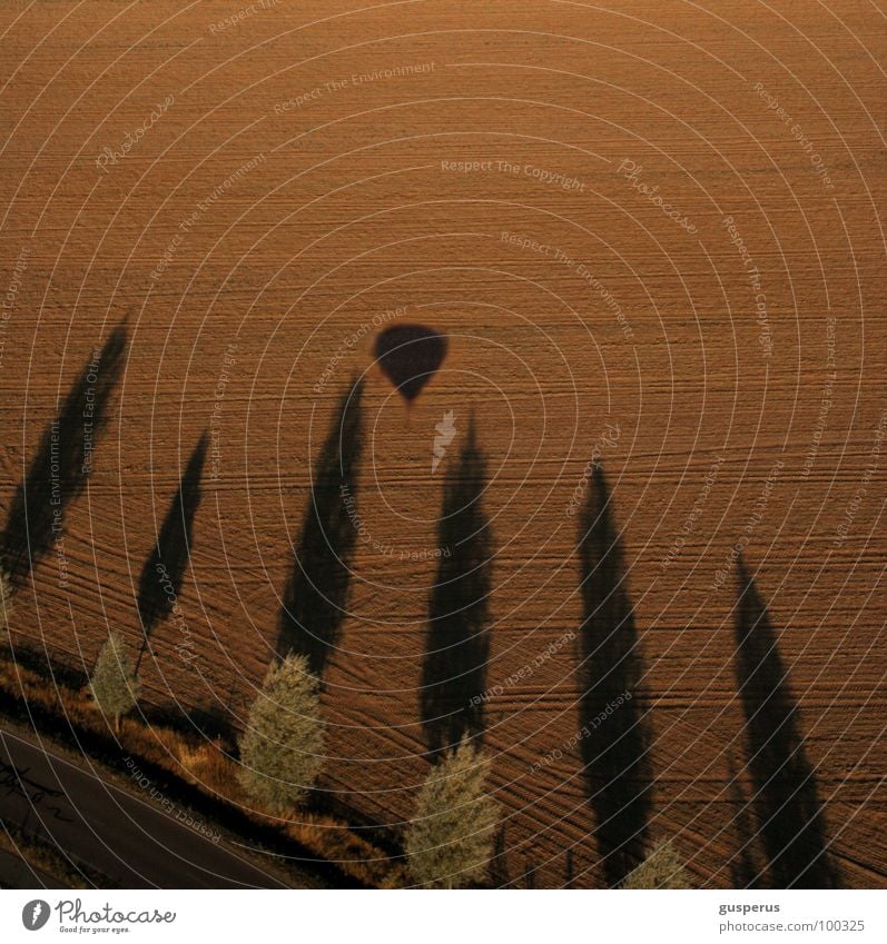 all good {...} Avenue Airplane Aerial photograph Field Physics Bird's-eye view Tree Tone-on-tone Nature Hot springs Level Aviation Shadow Warmth Above