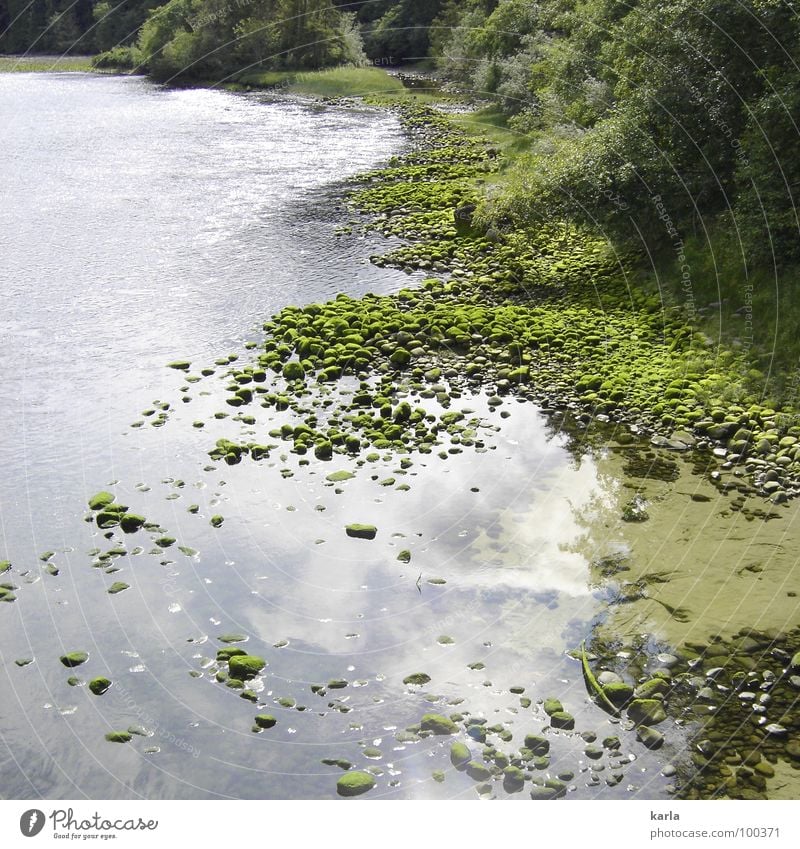 still waters... Tree Reflection Clouds Algae Calm Canada Green River Brook Water Stone