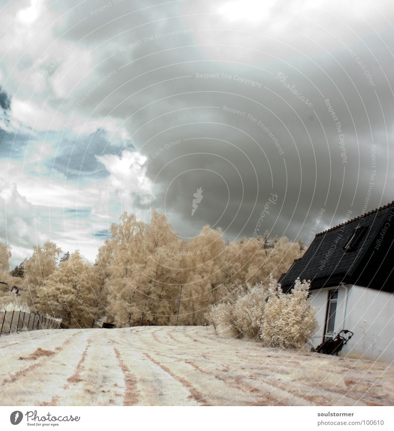 Picture No. 100 - My home... Infrared Meadow Tree Exceptional Jubilee House (Residential Structure) Fence Clouds Infrared color White Wood flour Grass