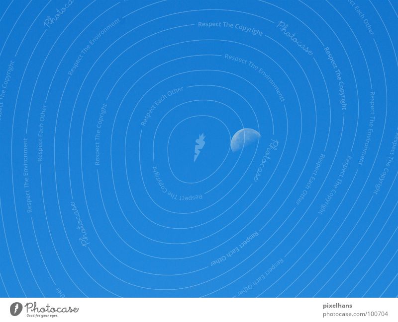 Blue miracle Sky Moon Weather Beautiful weather Round Moody Semicircle Colour photo Evening Twilight Background picture Copy Space top Copy Space bottom