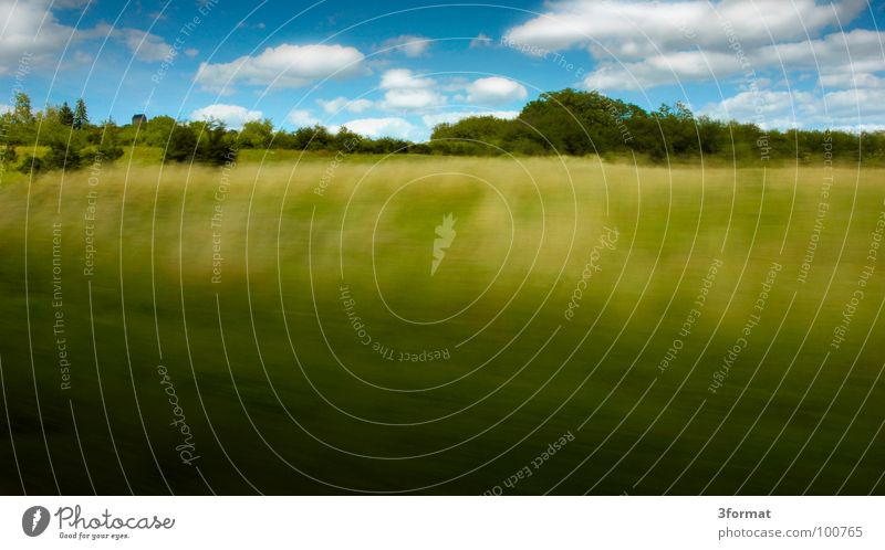 speed Highway Driving Freeway Country road Speed Car race Motor vehicle Transport Road sign Summer Spring Clouds Altocumulus floccus Tree Rural Field Wheat