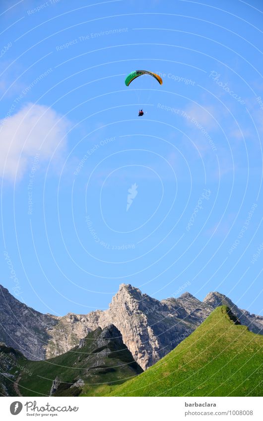 Let him live high! Sports Paragliding 1 Human being Nature Landscape Air Sky Summer Alps Mountain Allgäu Alps Nebelhorn Peak Flying Tall Emotions Joy Brave