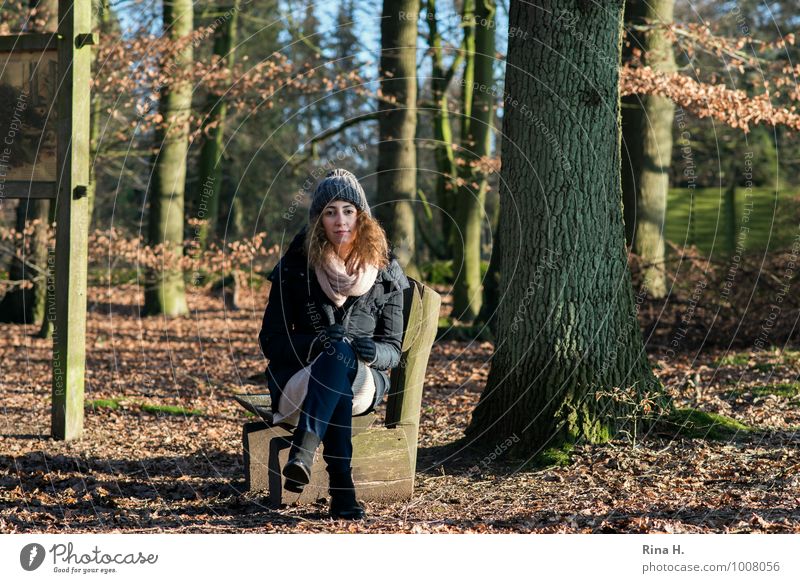 pause Young woman Youth (Young adults) 18 - 30 years Adults Winter Forest Jacket Coat Cap Brunette Long-haired Curl Relaxation Sit Beautiful Natural Beech wood