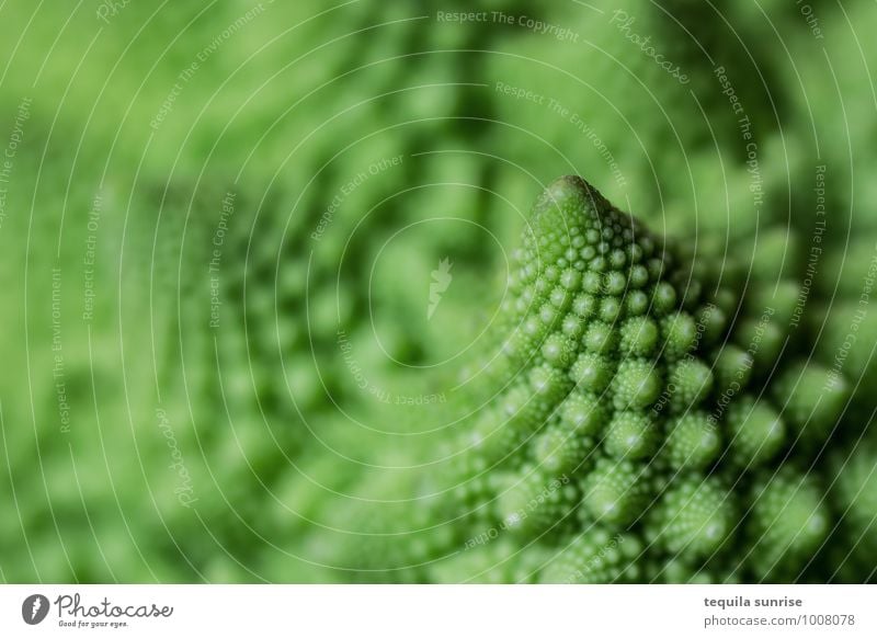 Fibonacci vegetables I Food Vegetable Nutrition Organic produce Vegetarian diet Plant Agricultural crop Romanesco Fresh Healthy Green fractal Colour photo