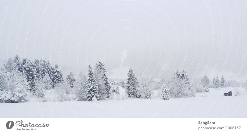 winter landscape Winter Snow Winter vacation Nature Landscape Sky Clouds Beautiful weather Snowfall Tree Forest Hill Mountain Hut White Joie de vivre (Vitality)