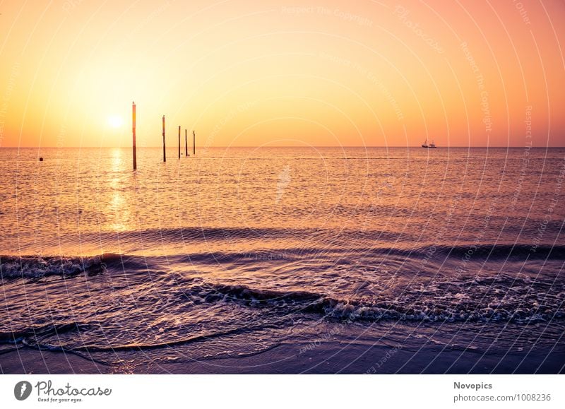 lovely view from Sankt Peter-Ording beach Far-off places Sun Beach Ocean Waves Nature Landscape Sand Water Horizon Sunrise Sunset Sunlight Summer