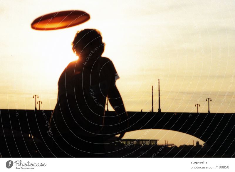 Yellow-backed Elbe Swift Playing Frisbee Silhouette Dresden Action Youth (Young adults) Joy Throw Window pane Bridge Grassland on the Elbe River Warmth Sun