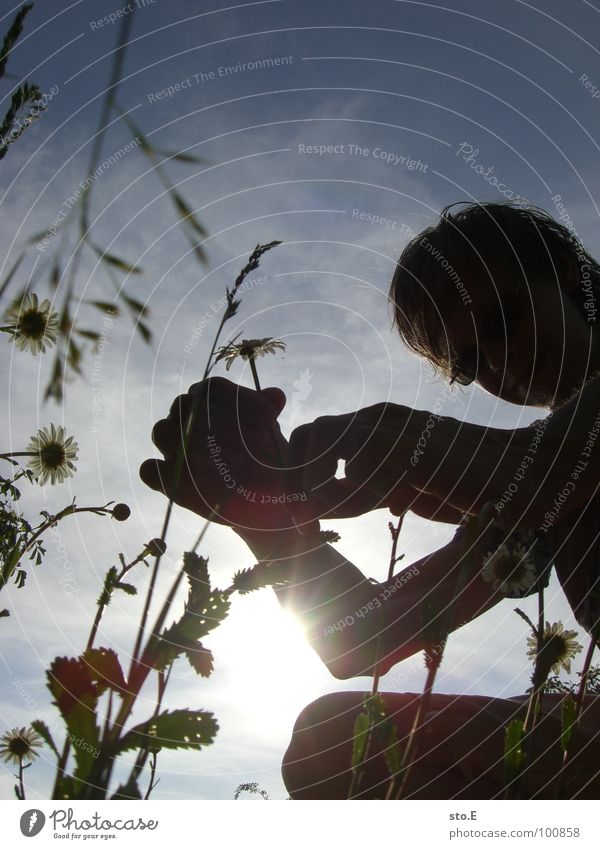 selection Human being I Park Meadow Bushes Flower Grass Blade of grass Clouds Dazzle Picked Sunglasses Leisure and hobbies East Sky personal photo self-portrait