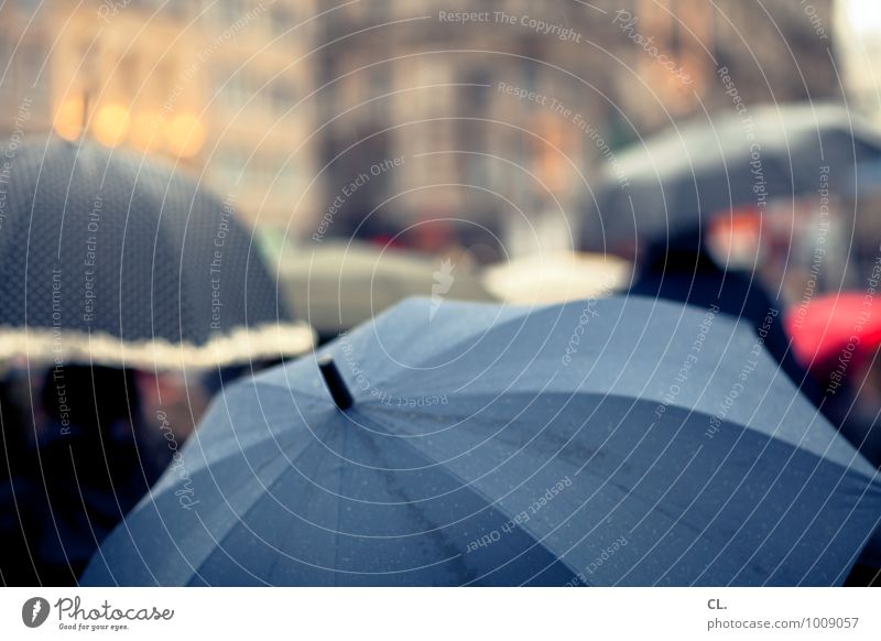 rain Human being Group Drops of water Autumn Winter Climate Weather Bad weather Pedestrian Umbrella Going Wet Town Wanderlust Colour photo Exterior shot Day