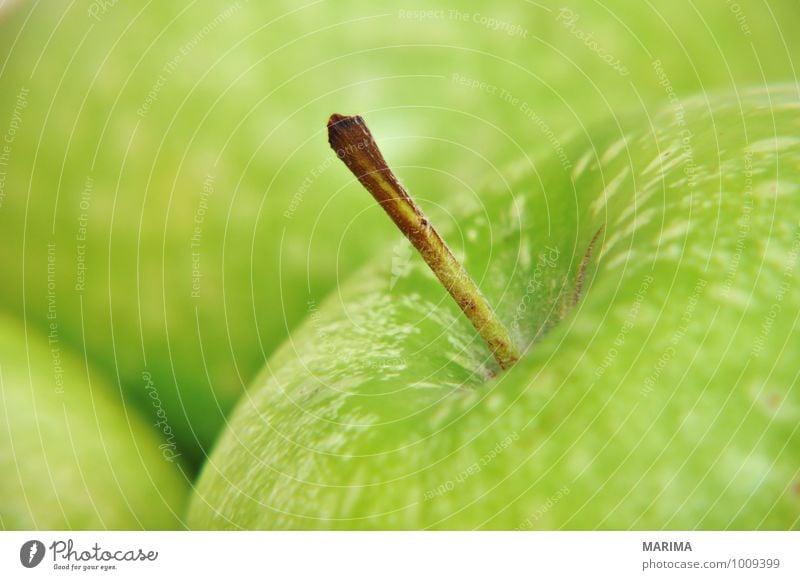 Detail of a green apple Food Fruit Apple Nutrition Vegetarian diet Environment Nature Fresh Delicious Green Apple skin organic Biological biologically Mature