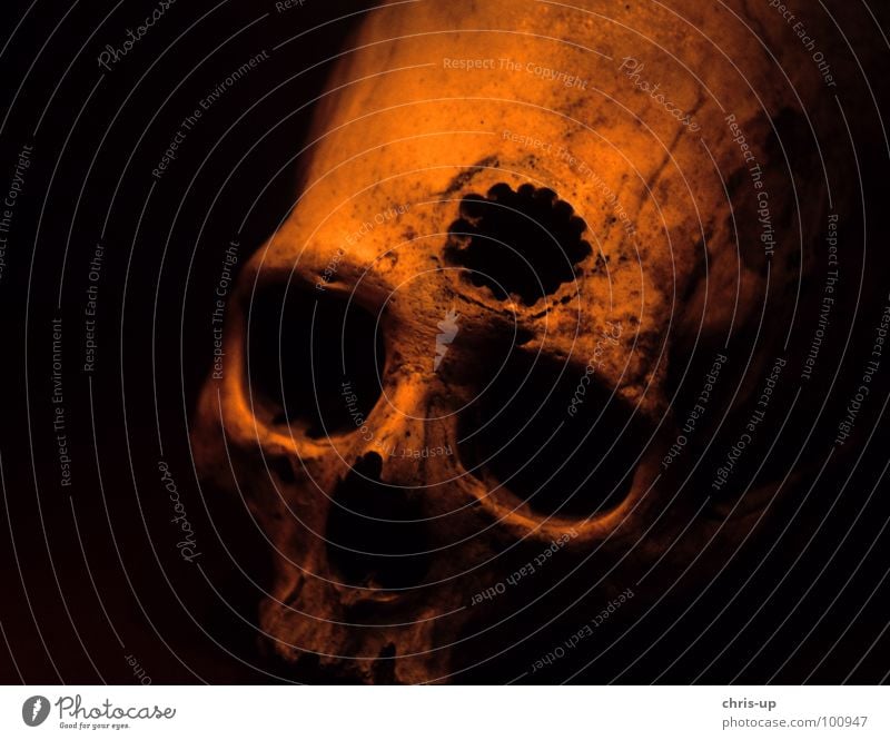 Skull Surgery Peru Ancient civilization Operation South America Headache Inca Creepy Black Dark Anatomy Indio Death Wound Obscure cranial surgery head operation