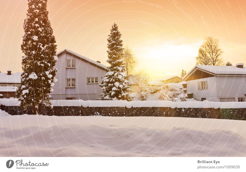 Evening sun in the winter landscape Winter Nature Landscape Sunrise Sunset Sunlight Weather Garden Village House (Residential Structure) Positive Yellow