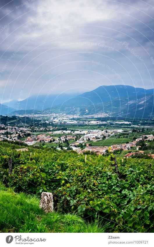 Mori Nature Landscape Clouds Storm clouds Summer Weather Alps Mountain Village Town Fresh Sustainability Natural Calm Relaxation Vacation & Travel Idyll