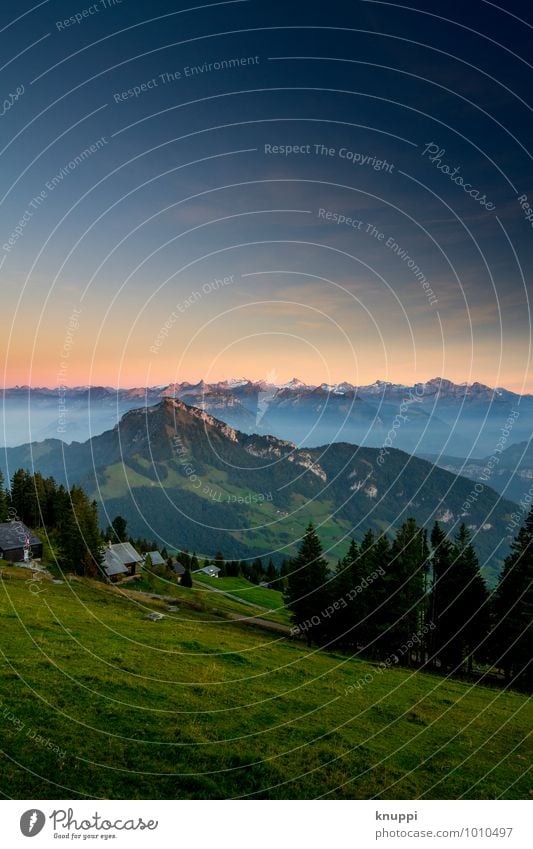 Rigi Scheidegg Environment Nature Landscape Sky Cloudless sky Night sky Horizon Sun Sunrise Sunset Sunlight Summer Autumn Weather Beautiful weather Fog Meadow