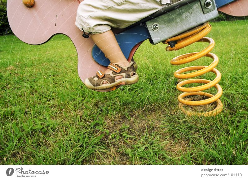 cowboy Swing Playground Child Playing Grass Meadow Seesaw Bird Spiral Yellow Action Boy (child) Lawn Feather suspension Wild animal Dynamics