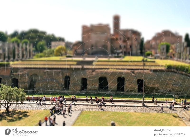 mini forum Tilt-Shift Small Miniature Bird's-eye view Rome Ruin Monument Tourist Green Brown Landmark Summer tilt Pattern Surrealism model building landscape