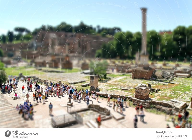 Mini-Forum-Romanum2 Tilt-Shift Small Miniature Bird's-eye view Rome Ruin Monument Tourist Green Brown Landmark tilt Pattern Surrealism model building landscape