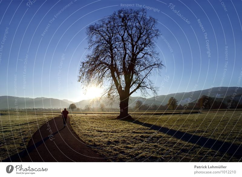 daybreak Human being Masculine Adults Body 1 Environment Nature Landscape Earth Sky Autumn Beautiful weather Meadow Mountain Freiburg im Breisgau Germany