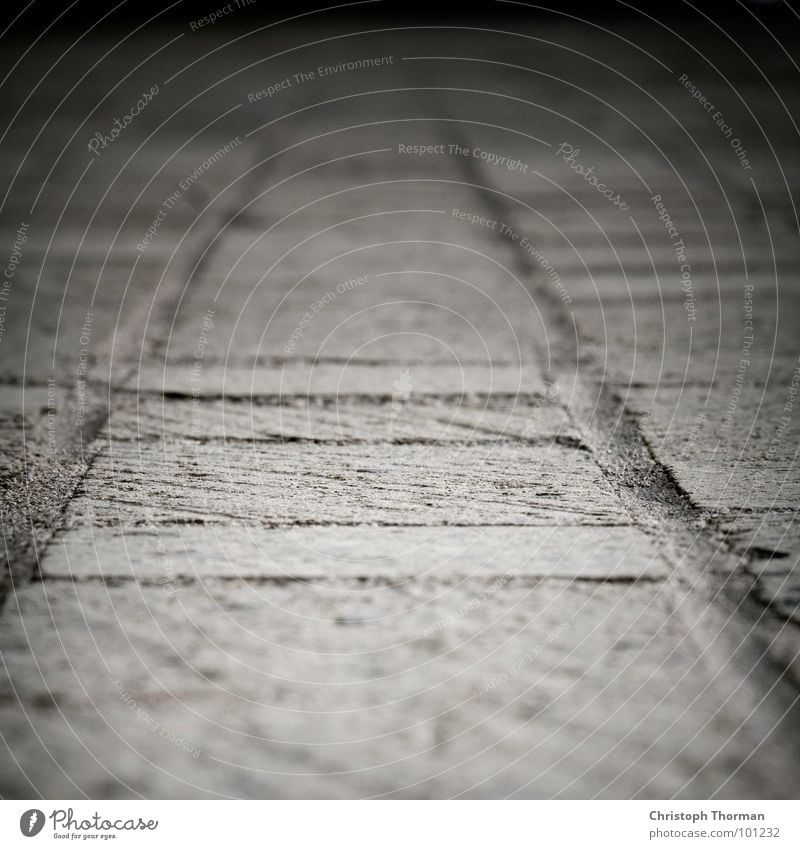 A stony path Blur Depth of field Vanishing point Gray Direction Macro (Extreme close-up) Close-up Detail Lanes & trails Central perspective Copy Space top