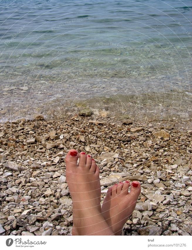 Just relax Ocean Nail polish Relaxation Leisure and hobbies Summer Feet Water Stone Freedom