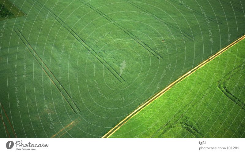 patterns in the grass Summer Seasons Spring Jump Field Meadow Flat Pattern Green Glittering Yellow Bird's-eye view Under Power Strong Footprint Reaping machine