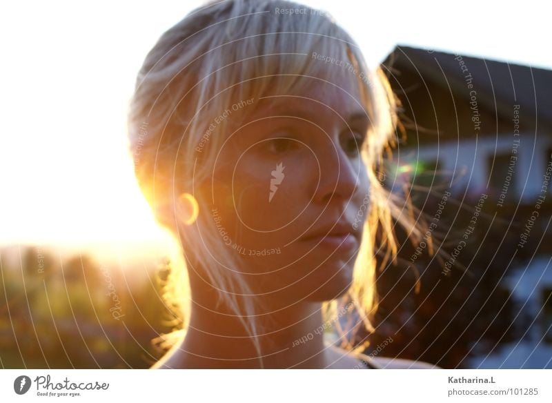 angel Sunset Portrait photograph Blonde Think Romance Summer Physics Yellow Beautiful Head Face Shadow Lighting Warmth Orange Modern Loneliness close