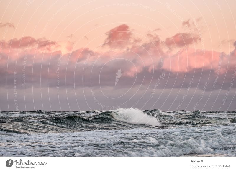 shaft Water Sky Clouds Pink Red White Baltic Sea Horizon Cloud cover Ocean Waves Foam Colour photo Exterior shot Deserted Copy Space top Copy Space middle