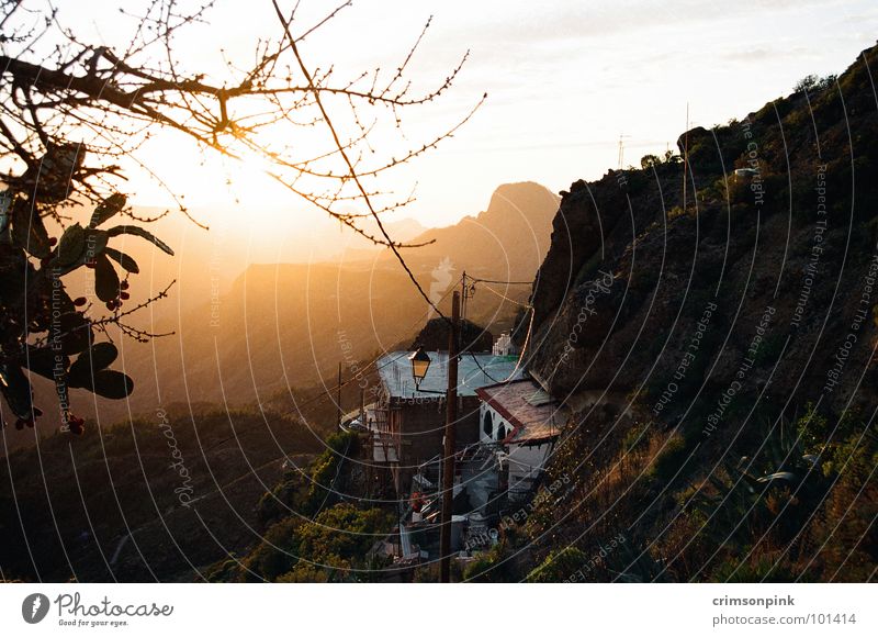 Species Macaw Sunset Brown Red Mountain village Europe Spain Gran Canaria Calm Relaxation Romance Loneliness Vacation & Travel Summer evening Resign Beautiful