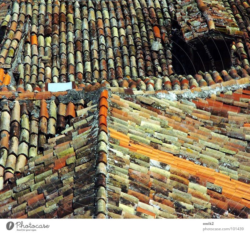 Croatian roofs II Village Small Town Old town Populated House (Residential Structure) Architecture Roof Chimney Historic Many Orange Red Idyll Roof ridge