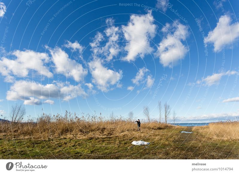 alone in the hall Vacation & Travel Trip Freedom Lake Constance Environment Nature Landscape Earth Water Sky Clouds Winter Beautiful weather Tree Grass Lakeside