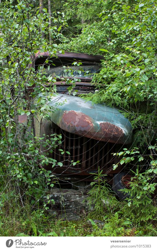 end of the road 4 Forest Car Vintage car Old Broken Grief Senior citizen Esthetic End Nostalgia Environmental pollution Decline Transience Insurance Destruction