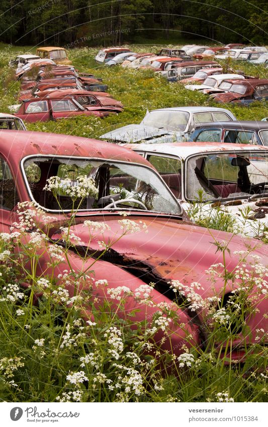 end of the road 3 Car Vintage car Old Broken Grief Senior citizen Esthetic End Nostalgia Environmental pollution Decline Transience Insurance Destruction