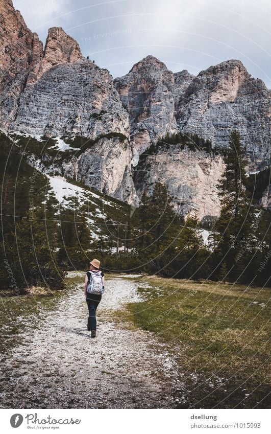 stroller Mountain Hiking Human being Feminine Young woman Youth (Young adults) 1 18 - 30 years Adults Landscape Summer Meadow Rock Dolomites Lanes & trails