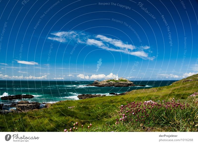 Lighthouse on an island in Cornwall with flowers in the foreground Vacation & Travel Tourism Trip Far-off places Freedom Sightseeing Environment Nature