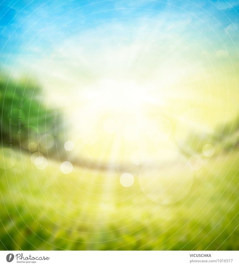 Blurred nature background with sunlight Design Summer Desk Nature Plant Elements Sky Horizon Sun Sunlight Spring Beautiful weather Garden Park Meadow Field