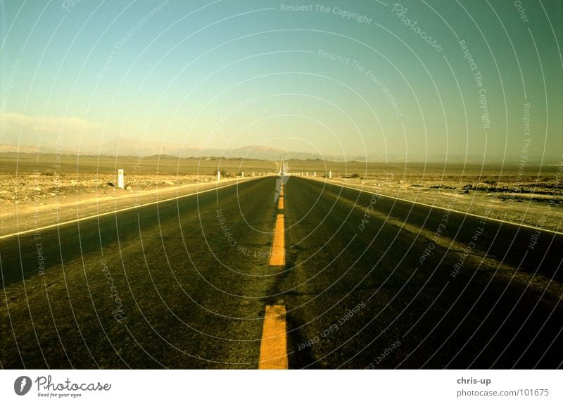 Which way? Pan-American Highway Truck Long-haul truck driver Loneliness Watch tower Lookout tower Peru Right ahead Geoglyph Paracas Vacation & Travel Hiking