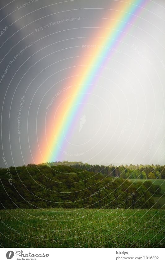 multicolor borderline Landscape Storm clouds Rain Meadow Forest Rainbow Prismatic colors Illuminate Esthetic Exceptional Positive Multicoloured Happy Uniqueness